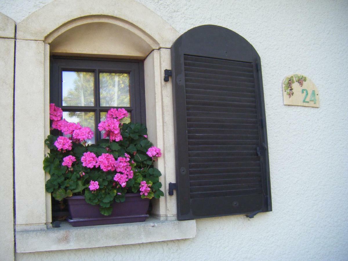 Les Lutins Bed and Breakfast Sainte-Ruffine Eksteriør billede